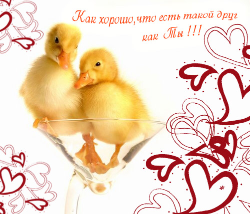 скачать открытки для друзей, приятные слова для друзей, спасибо друзья, 