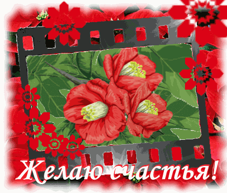 счастья. открытки с пожеланием счастья