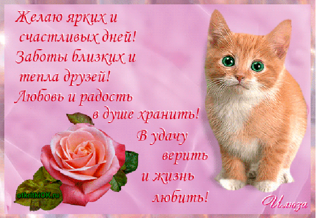 счастья. открытки с пожеланием счастья