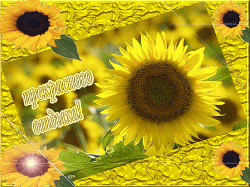 отдохни. удачного отдыха. пришло время отдохнуть. пора расслабиться. приятног...