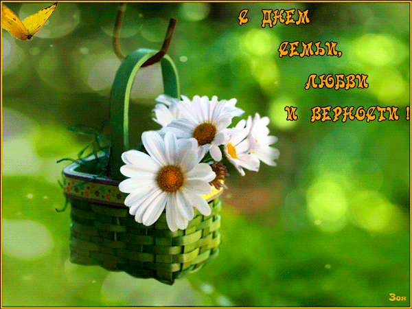 поздравления с днем семьи. моя семья. с днем семьи, любви и верности. поздрав...