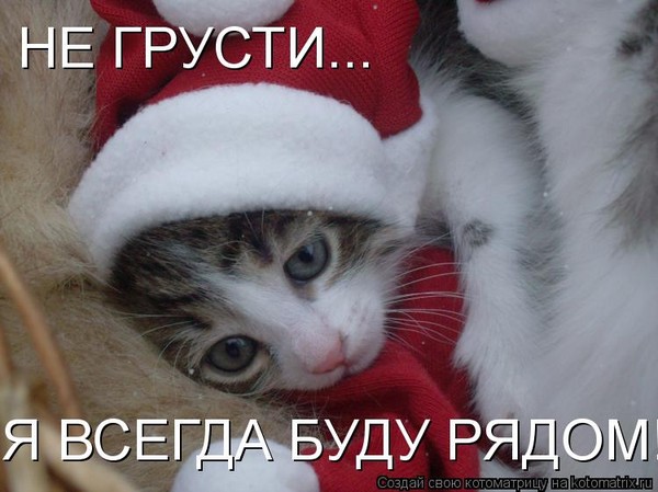 не грусти. не скучай. все будет хорошо. улыбнись. все пройдет