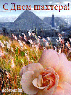 день шахтера. с днем шахтера. поздравляю с днем шахтера. 