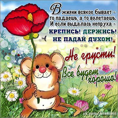 не грусти. не скучай. все будет хорошо. улыбнись. все пройдет