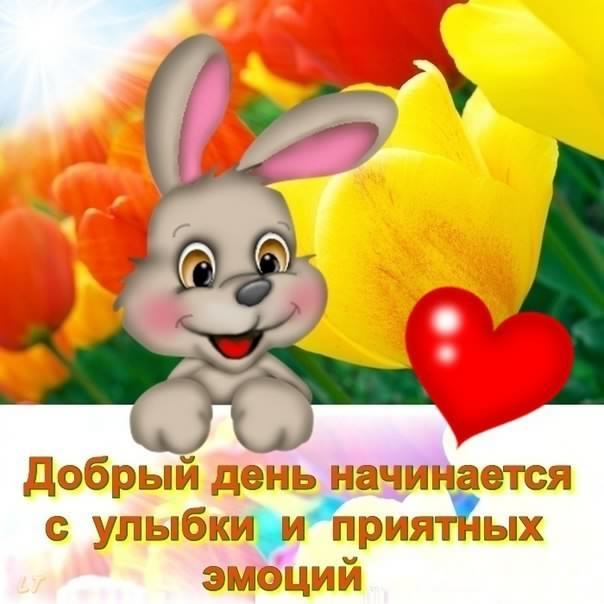 добрый день. открытки добрый день.доброго дня. хорошего дня. удачного дня