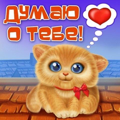 открытки любимым с любовью. я тебя люблю. i love you. люблю больше жизни