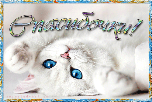 открытки спасибо, thank you, merci, благодарю тебя, большое спасибо