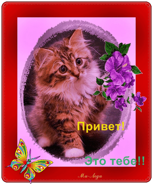 открытки привет, как дела. как настроение. пожелание хорошего дня