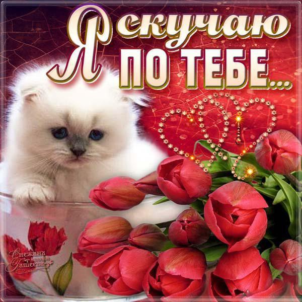 открытки я скучаю. мне скучно без тебя. я соскучилась по тебе . i miss you.