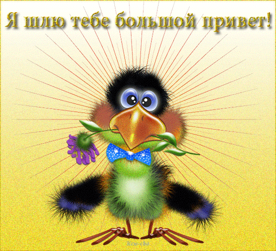 открытки привет, как дела. как настроение. пожелание хорошего дня