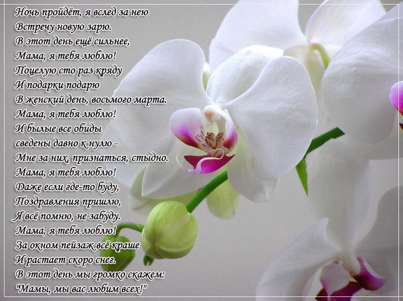 открытки маме с любовью. мама я тебя люблю. моя мама самая лучшая