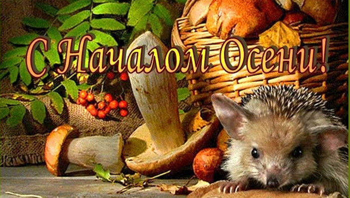 С началом осени