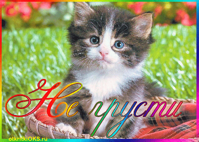 не грусти. не скучай. все будет хорошо. улыбнись. все пройдет