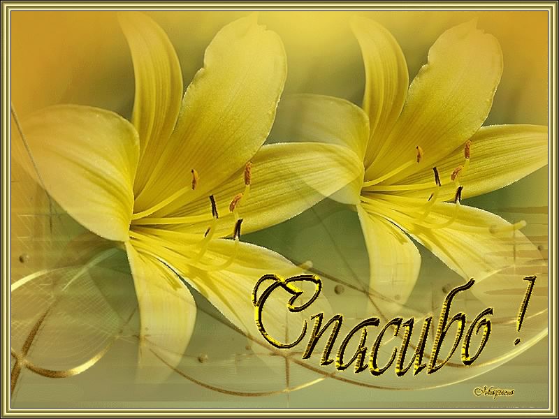 открытки спасибо, thank you, merci, благодарю тебя, большое спасибо