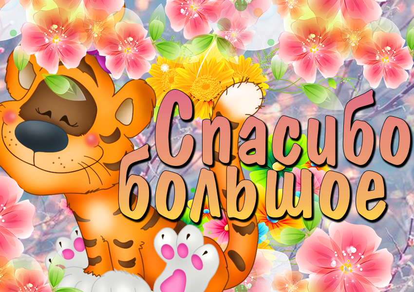 открытки спасибо, thank you, merci, благодарю тебя, большое спасибо