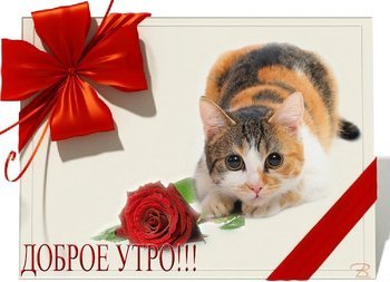 Хорошего субботнего дня