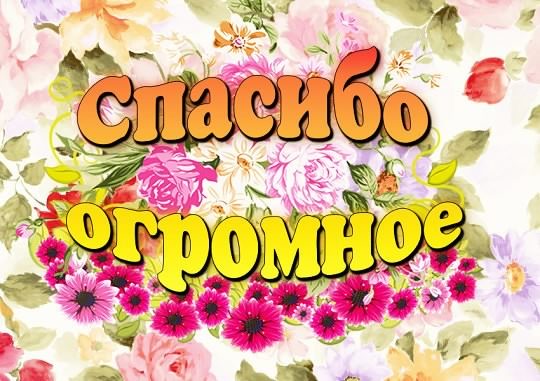 открытки спасибо, thank you, merci, благодарю тебя, большое спасибо