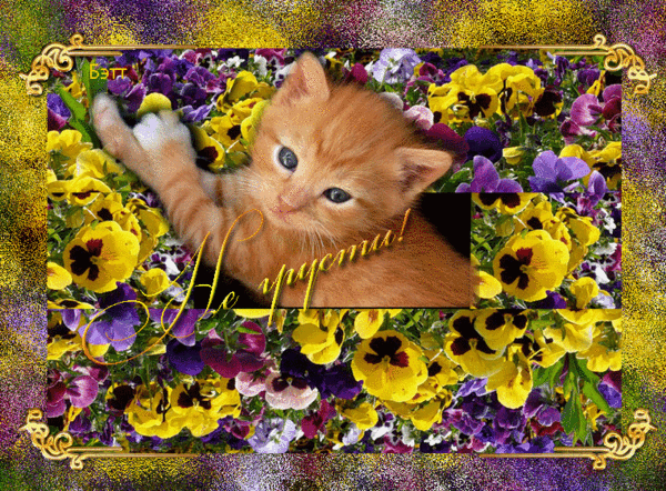 не грусти. не скучай. все будет хорошо. улыбнись. все пройдет