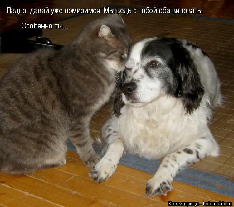 Давай мириться