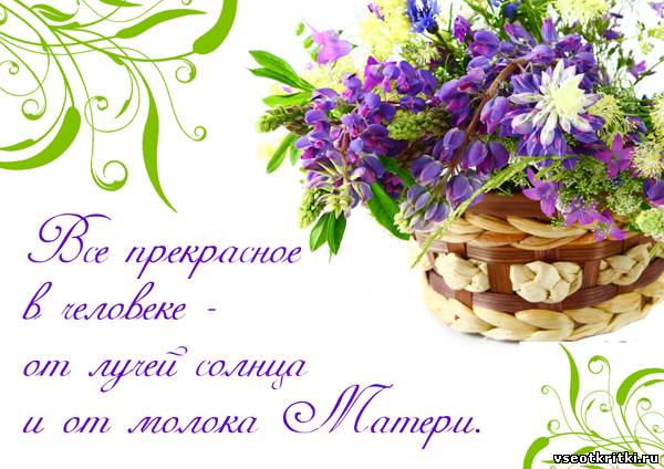 День матери. Открытка для мамы. Лучшие открытки на праздник день матери.