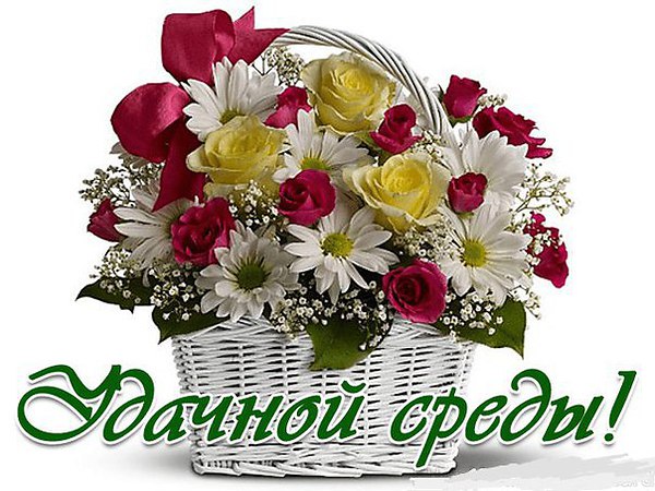 С веселой средой