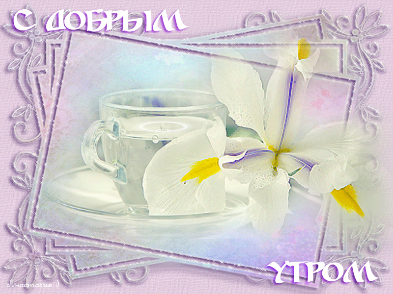 доброе утро. открытки с добрым утром. с добрым утром. желаю доброго утра