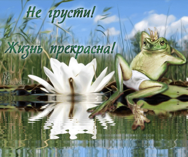 не грусти. не скучай. все будет хорошо. улыбнись. все пройдет