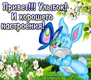 открытки привет, как дела. как настроение. пожелание хорошего дня