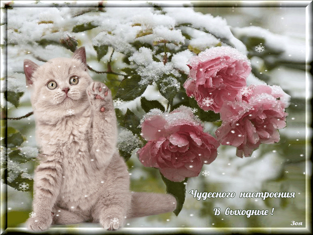 Приятных выходных