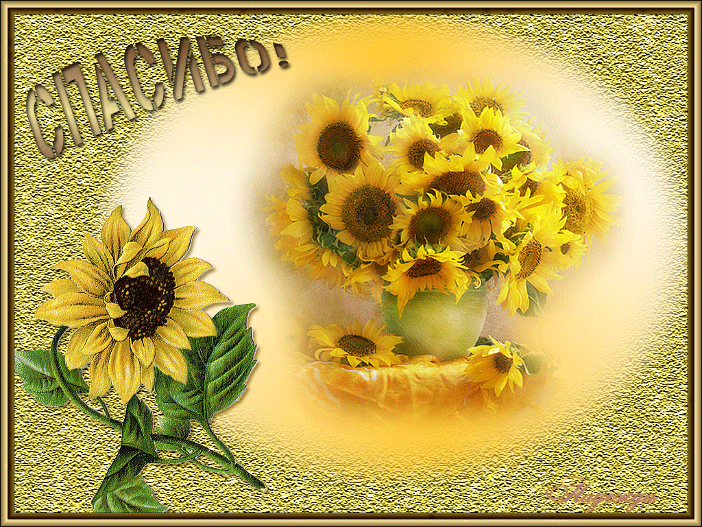 открытки спасибо, thank you, merci, благодарю тебя, большое спасибо