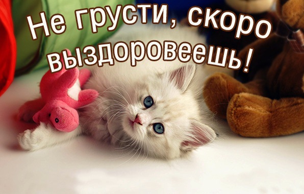 Выздоравливай не болей картинки прикольные девушке