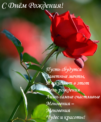 и, пожелания с днем рождения девушке, цветы