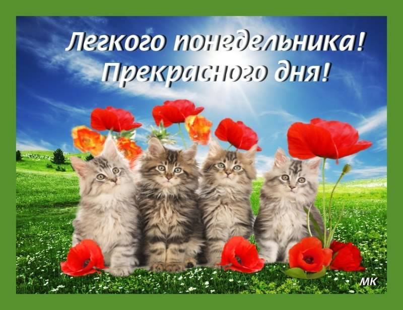 понедельник. открытки к понедельнику. опять понедельник. легкого
