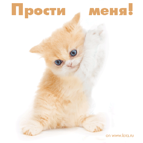 прости. прости меня. открытки прости. прости пожалуйста. прости меня пожалуйс...
