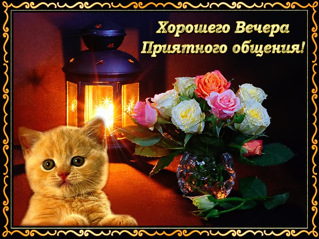 добрый вечер. приятного вечера. доброго вам вечера. хорошего вечера. приятного летнего вечера. отдыхайте с удовольствием .хорошего вечера, приятного общения