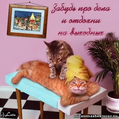 Приятных выходных