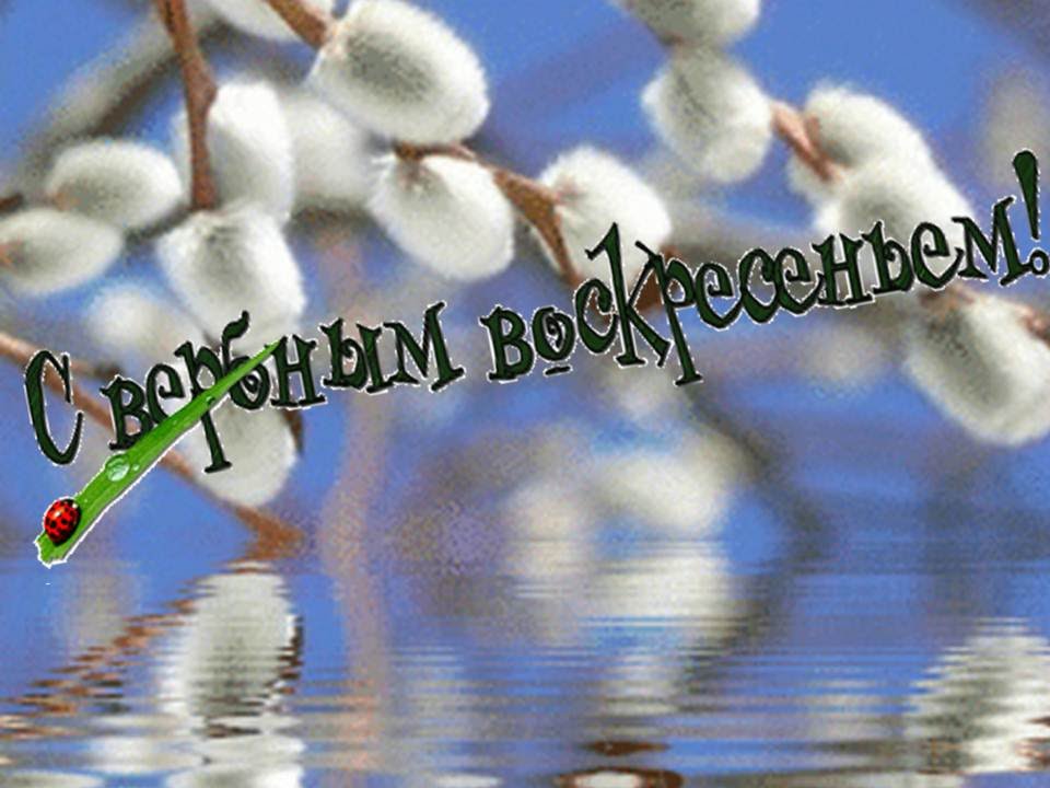 открытки на вербное воскресенье. пожелания к празднику вербное воскресенье
