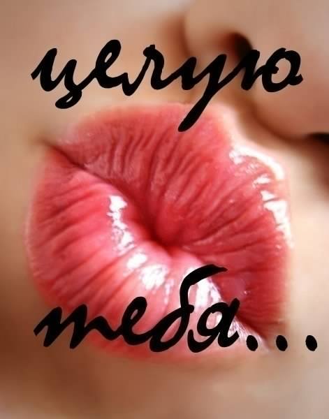 открытки целую, целую много раз