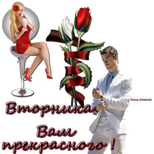 вторник. с добрым вторником.