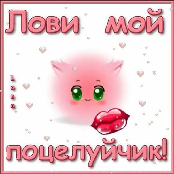 открытки целую, целую много раз