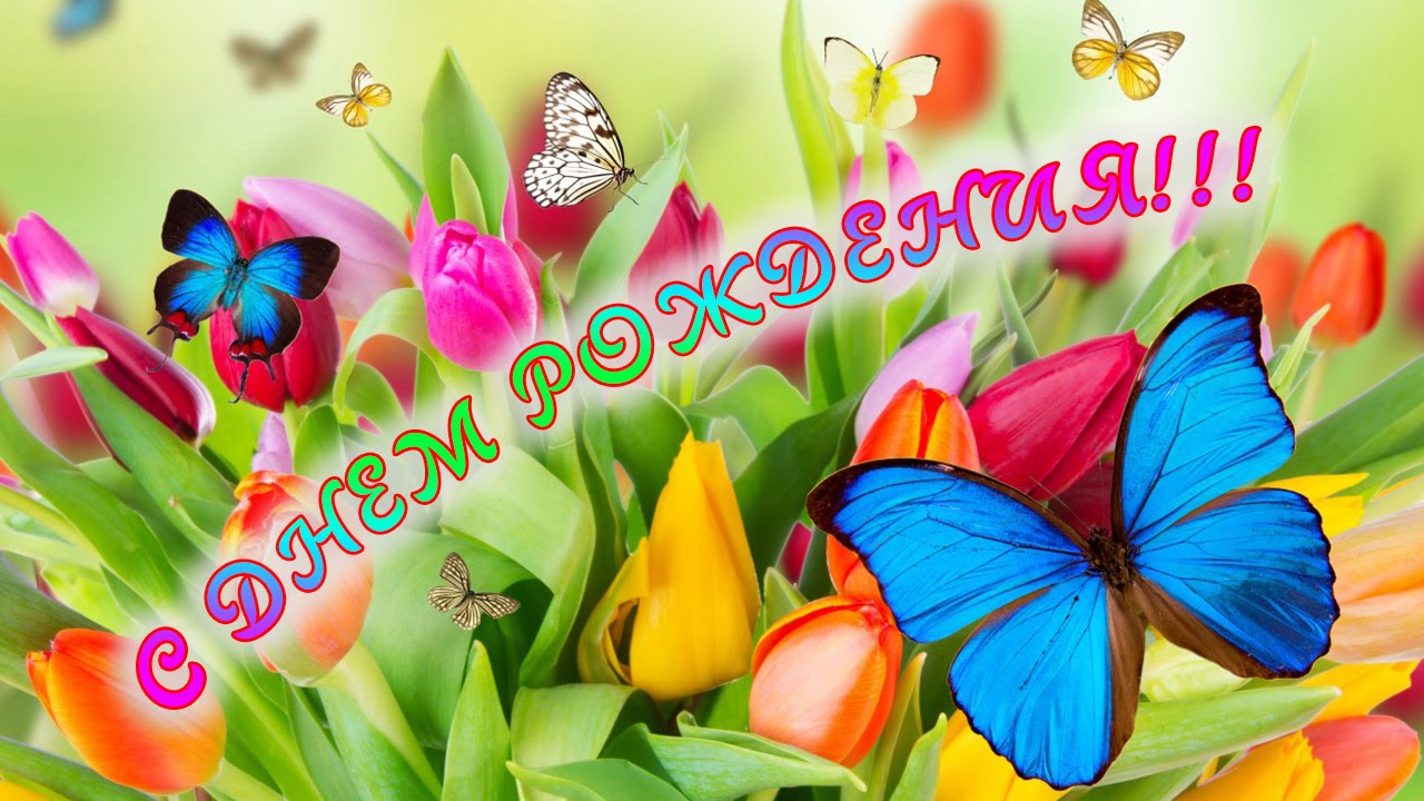 и, пожелания с днем рождения девушке, цветы