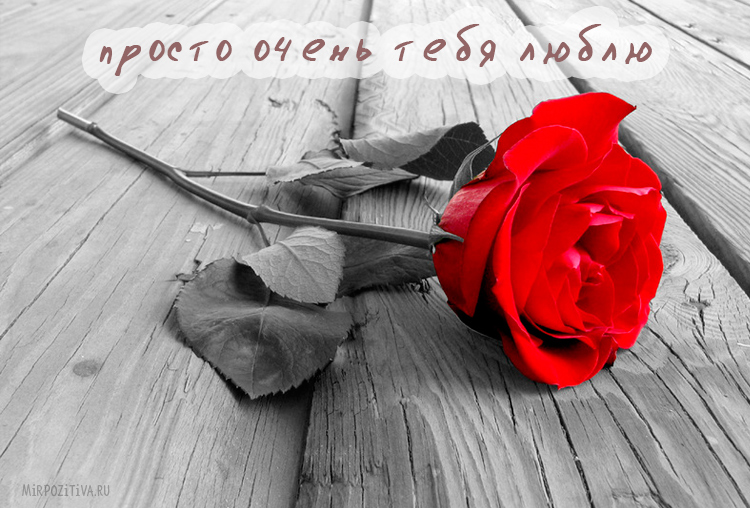 открытки любимым с любовью. я тебя люблю. i love you. люблю больше жизни