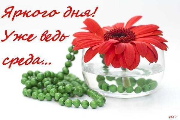 С веселой средой