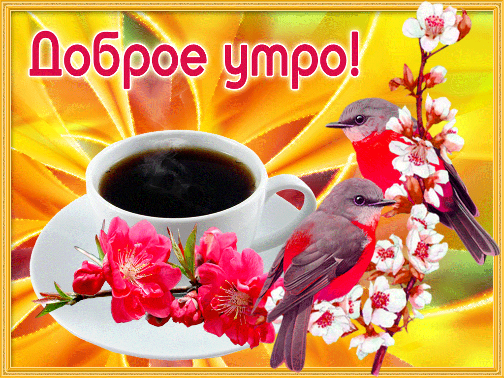 доброе утро. открытки с добрым утром. с добрым утром. желаю доброго утра