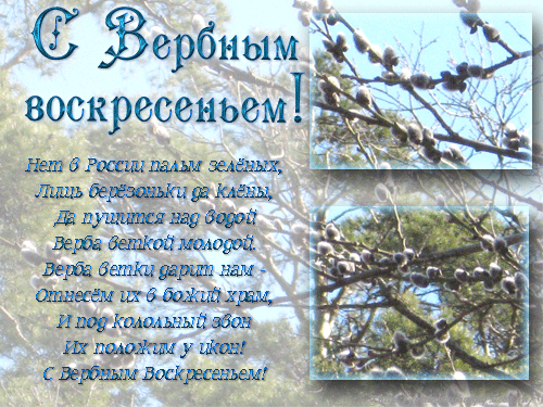 открытки на вербное воскресенье. пожелания к празднику вербное воскресенье