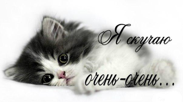 открытки я скучаю. мне скучно без тебя. я соскучилась по тебе . i miss you.