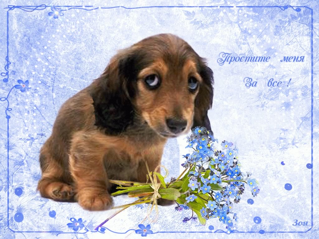 прости. прости меня. открытки прости. прости пожалуйста. прости меня пожалуйс...