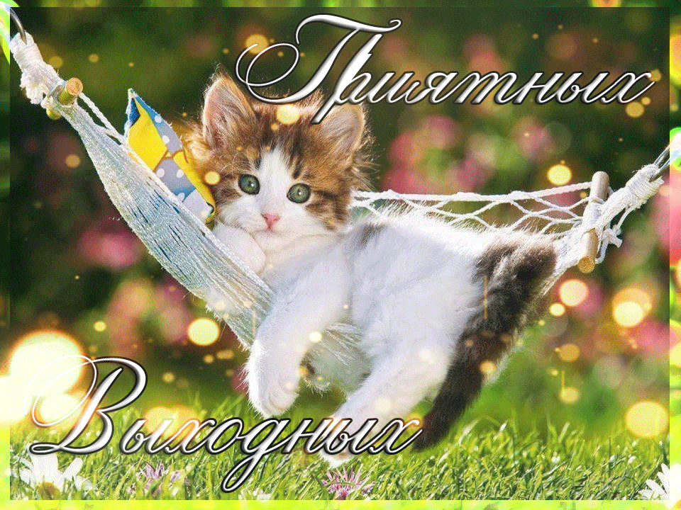 Приятных выходных