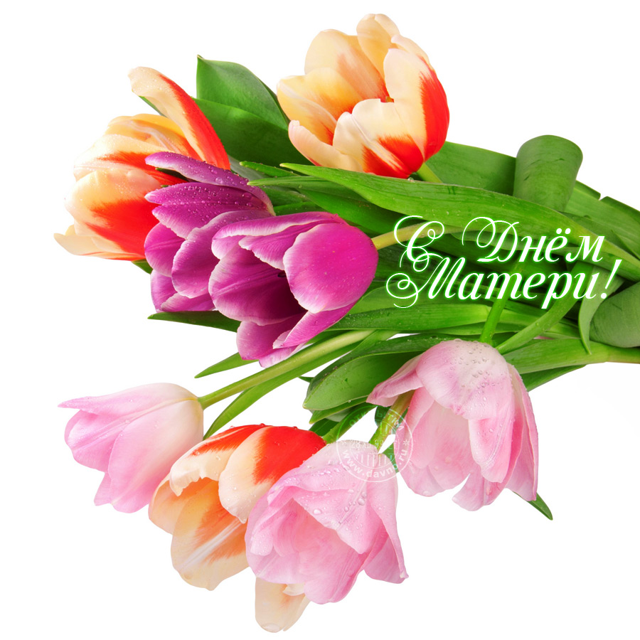 День матери. Открытка для мамы. Лучшие открытки на праздник день матери.