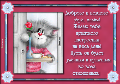 доброе утро. открытки с добрым утром. с добрым утром. желаю доброго утра